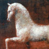 Horse on Stage