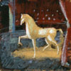 Horse on Stage study